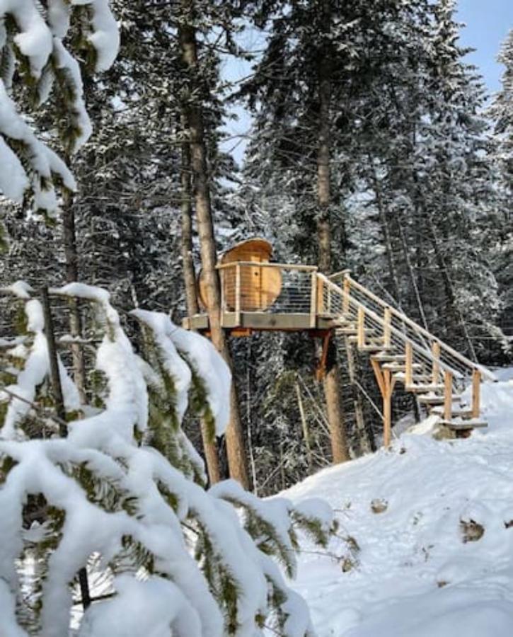 Golden Tiny Homes المظهر الخارجي الصورة